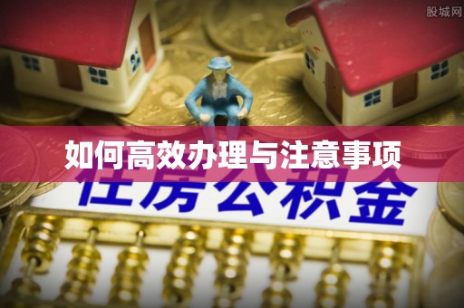 仁寿如何高效办理与注意事项