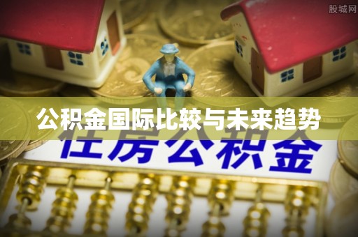 仁寿公积金国际比较与未来趋势