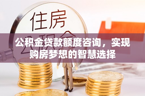 仁寿公积金贷款额度咨询，实现购房梦想的智慧选择