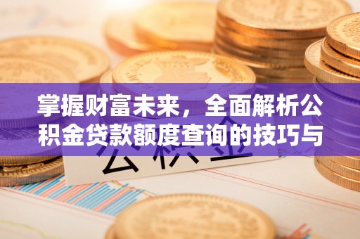 仁寿掌握财富未来，全面解析公积金贷款额度查询的技巧与策略