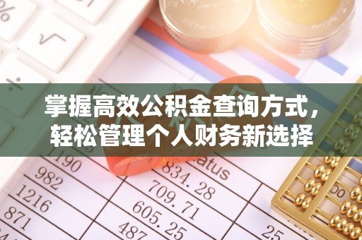 仁寿掌握高效公积金查询方式，轻松管理个人财务新选择