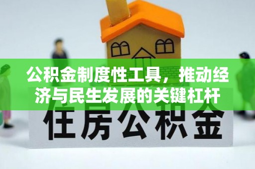 仁寿公积金制度性工具，推动经济与民生发展的关键杠杆