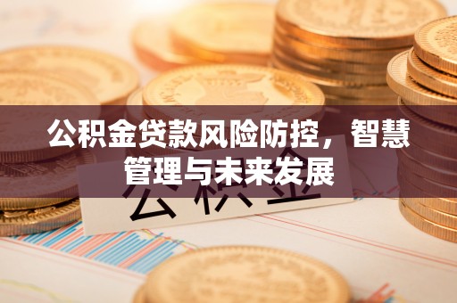 仁寿公积金贷款风险防控，智慧管理与未来发展