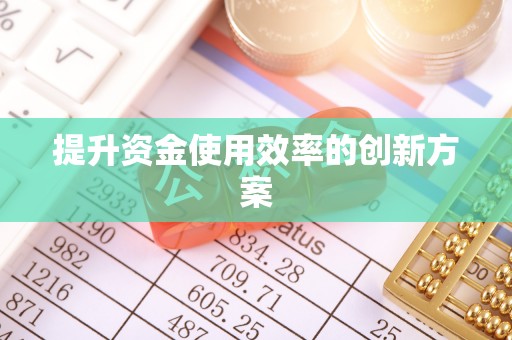 仁寿提升资金使用效率的创新方案