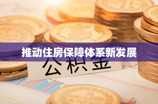 仁寿推动住房保障体系新发展