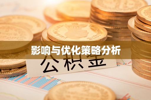 仁寿影响与优化策略分析