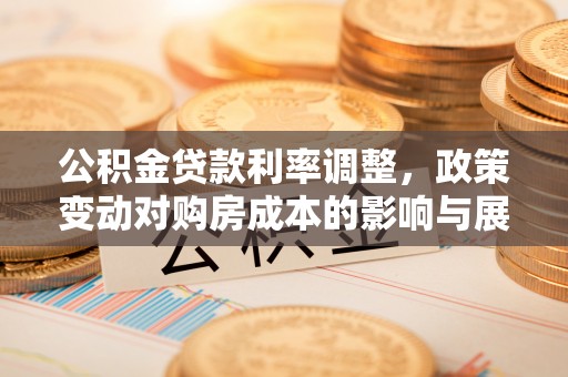 仁寿公积金贷款利率调整，政策变动对购房成本的影响与展望