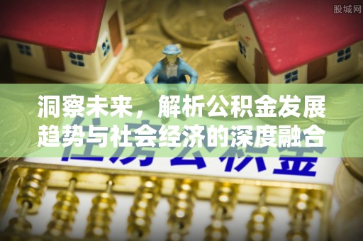 仁寿洞察未来，解析公积金发展趋势与社会经济的深度融合