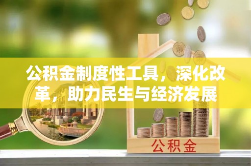 仁寿公积金制度性工具，深化改革，助力民生与经济发展