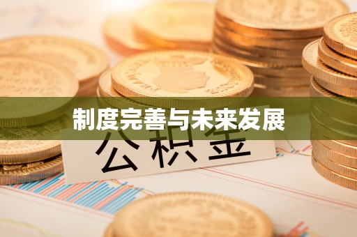 仁寿制度完善与未来发展