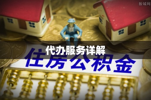 仁寿代办服务详解