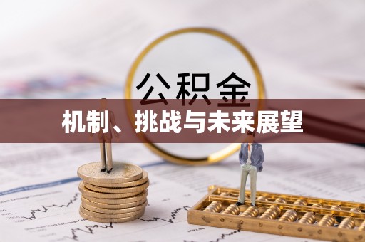 仁寿机制、挑战与未来展望